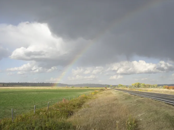 Forage Matters: Silver linings, optimism during dry weather events